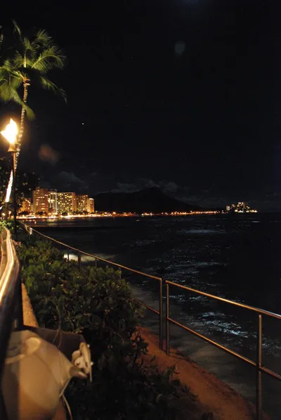 DSC_0071 (Large).JPG
